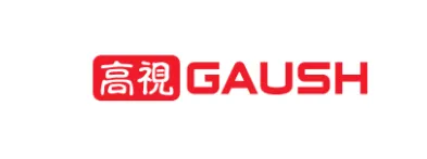 高视医疗